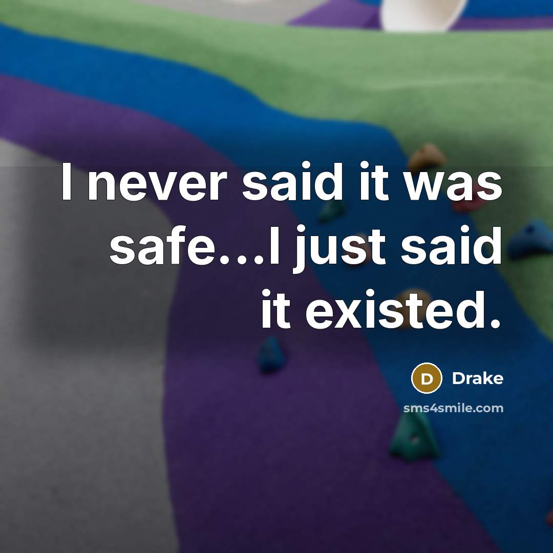 “I never said it was safe...I just said it existed.” quote by Drake
