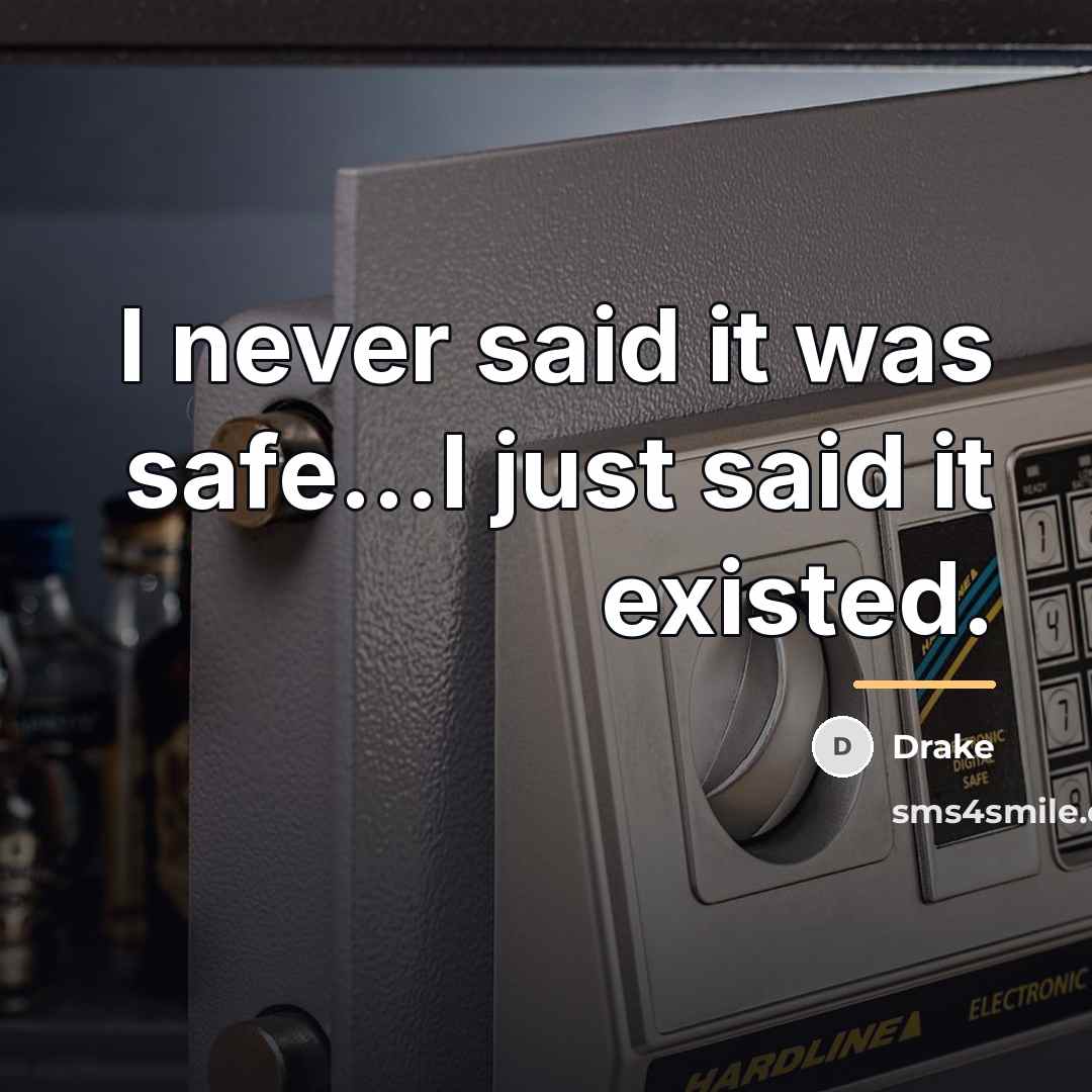 “I never said it was safe...I just said it existed.…” quote by Drake