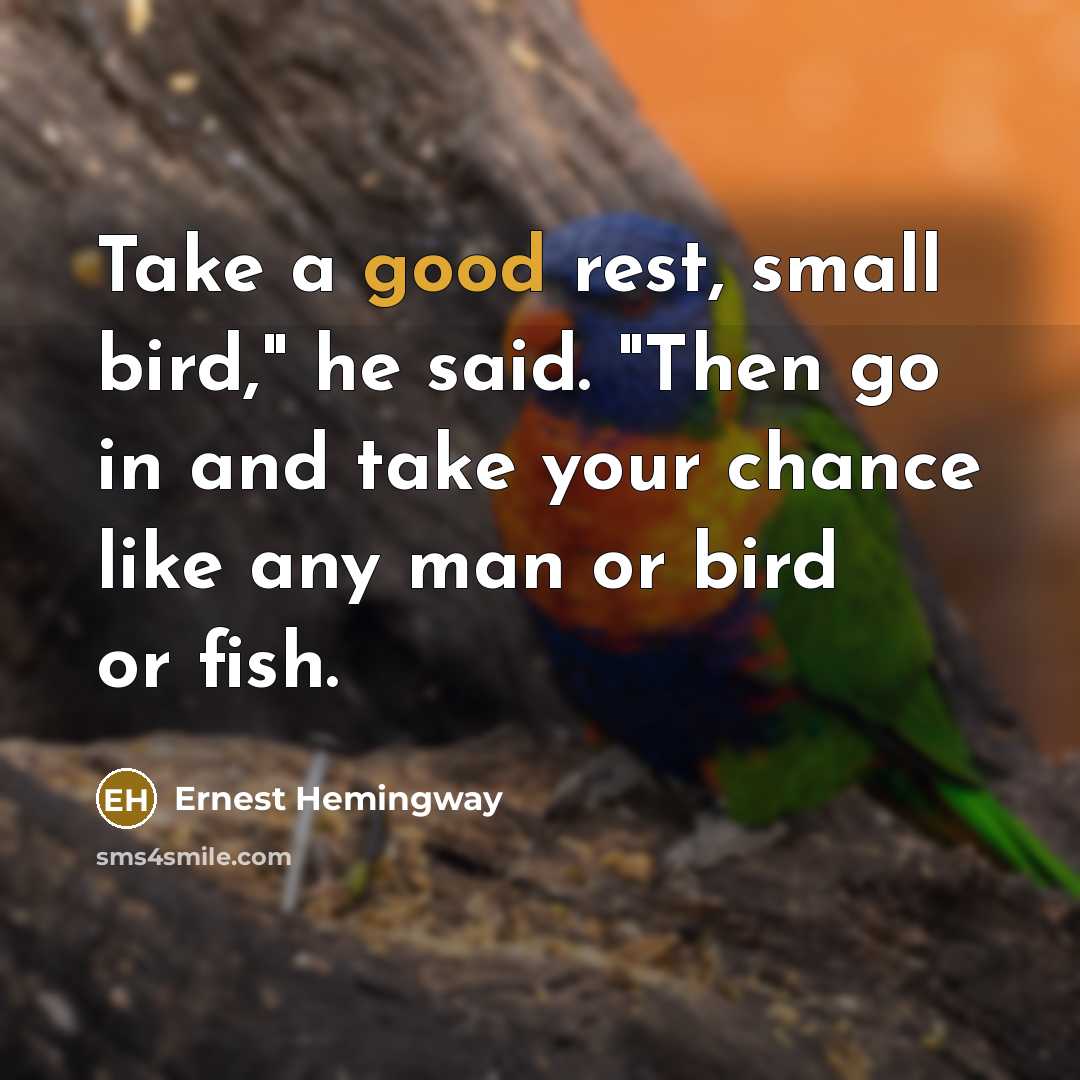 “Take a good rest, small bird," he said. "Then go…” quote by Ernest Hemingway