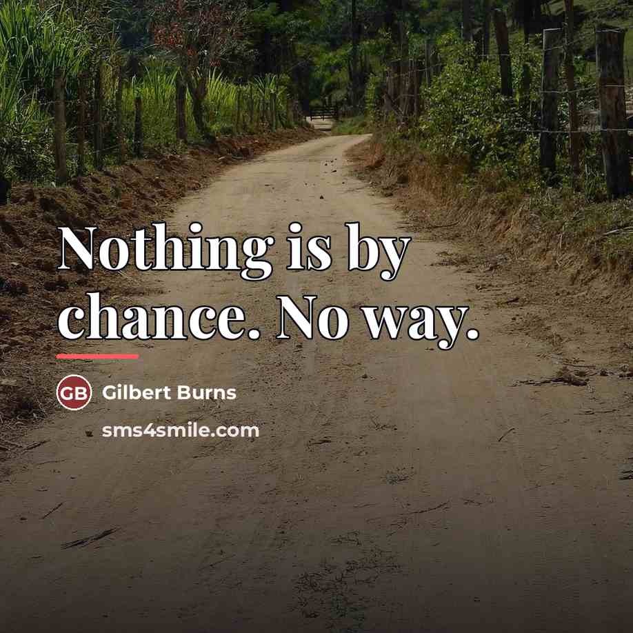“Nothing is by chance. No way.…” quote by Gilbert Burns