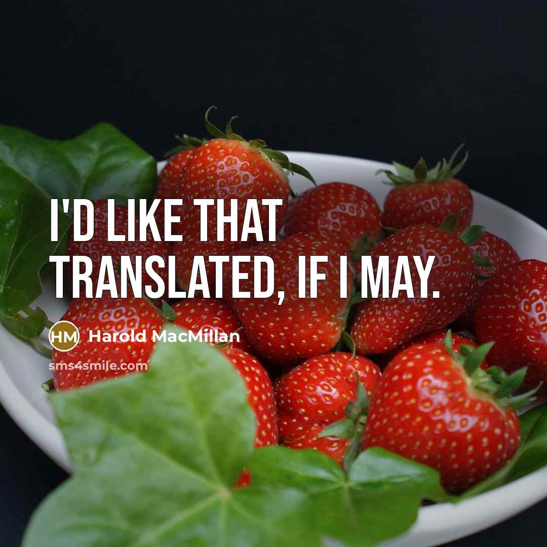 “I'd like that translated, if I may.…” quote by Harold MacMillan