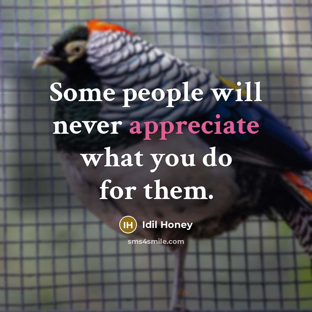 “Some people will never appreciate what you do for them.…” quote by Idil Honey