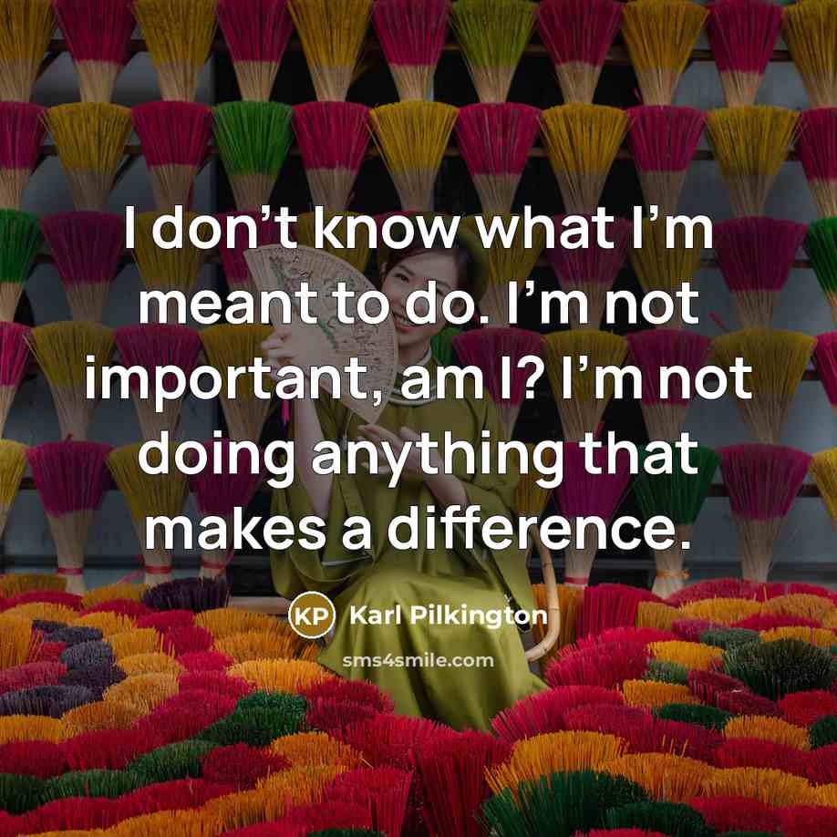 “I don't know what I'm meant to do. I'm not…” quote by Karl Pilkington