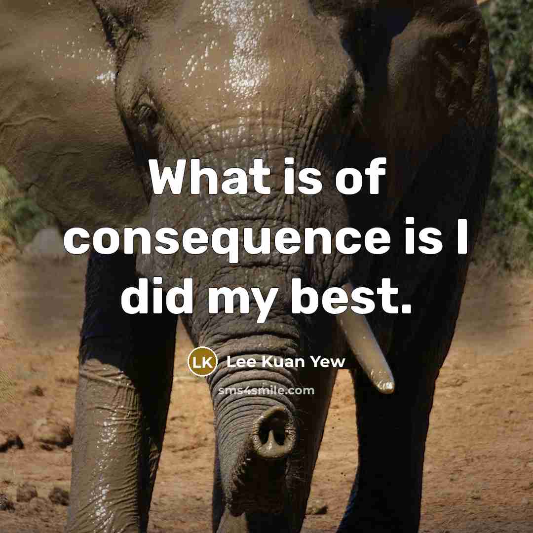 “What is of consequence is I did my best.” quote by Lee Kuan Yew