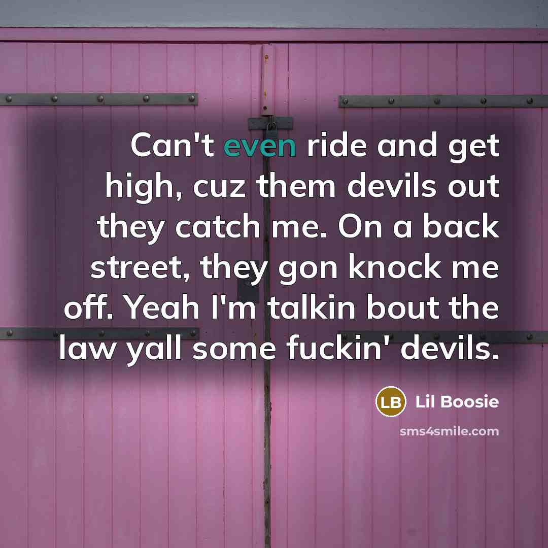“Can't even ride and get high, cuz them devils out they catch me. On a back street, they gon knock me off. Yeah I'm talkin bout the law yall some fuckin' devils.” quote by Lil Boosie