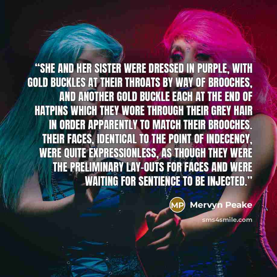 “She and her sister were dressed in purple, with gold buckles at their throats by way of brooches, and another gold buckle each at the end of hatpins which they wore through their grey hair in order apparently to match their brooches. Their faces, identical to the point of indecency, were quite…” quote by Mervyn Peake