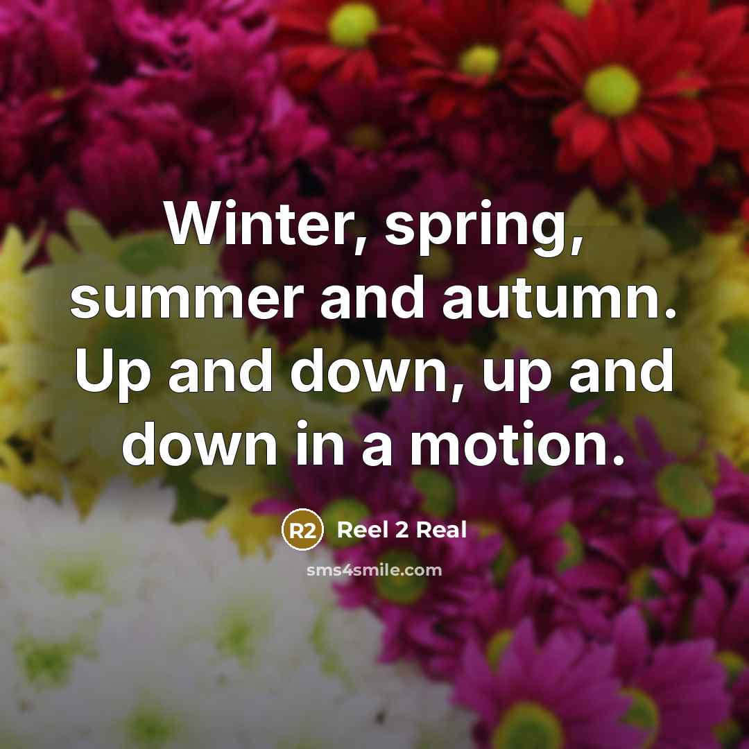 “Winter, spring, summer and autumn. Up and down, up and…” quote by Reel 2 Real