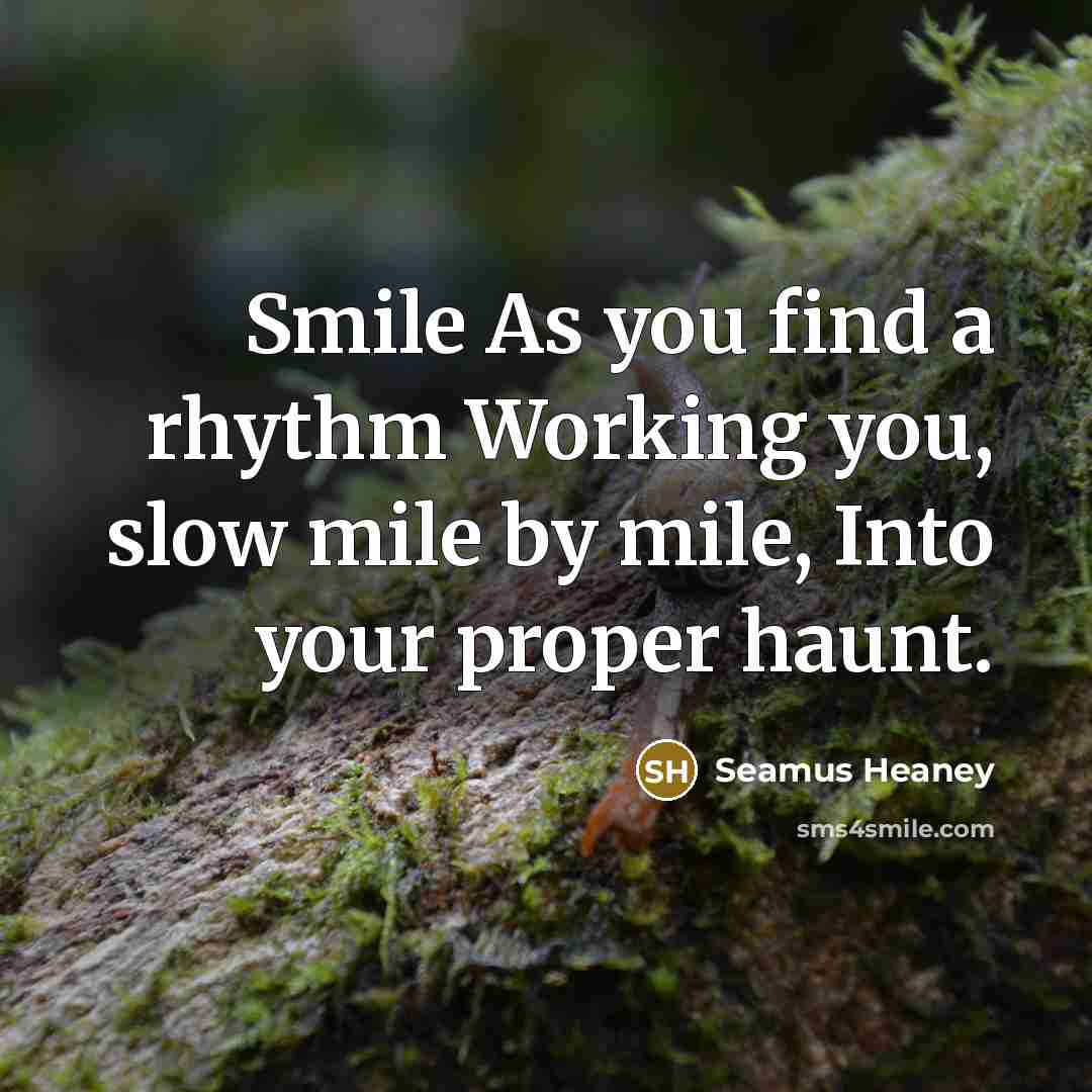 “Smile As you find a rhythm Working you, slow mile…” quote by Seamus Heaney