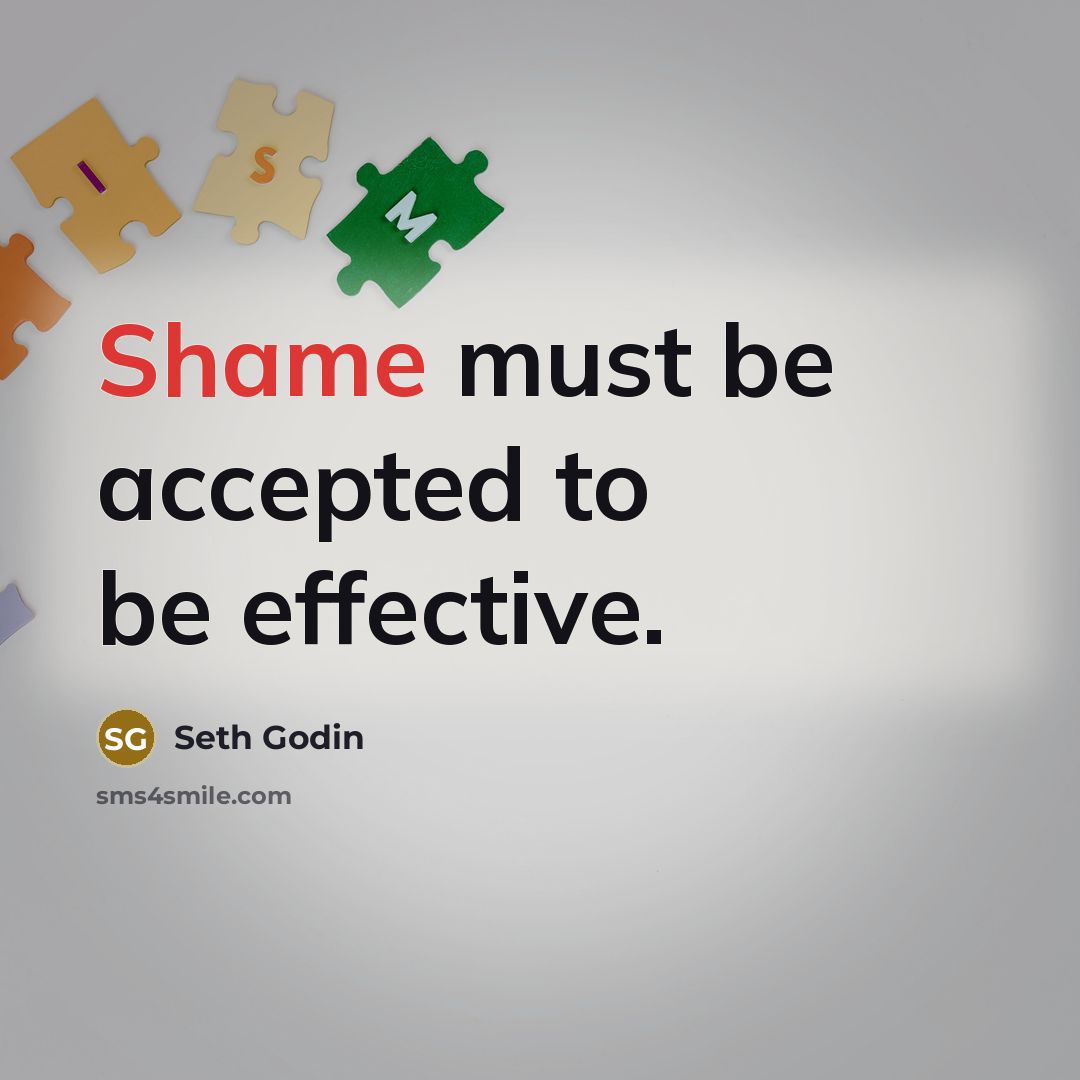 “Shame must be accepted to be effective.…” quote by Seth Godin