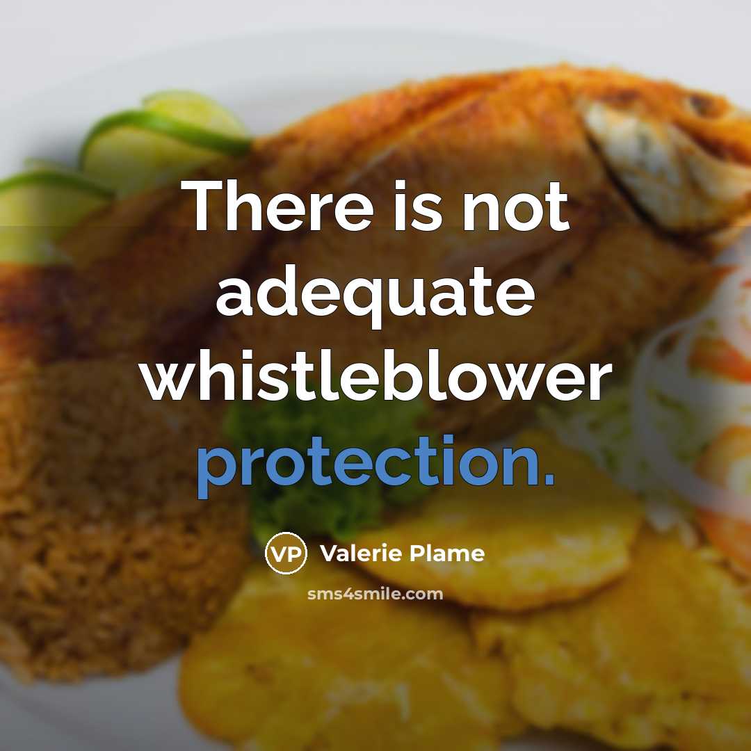 “There is not adequate whistleblower protection.…” quote by Valerie Plame