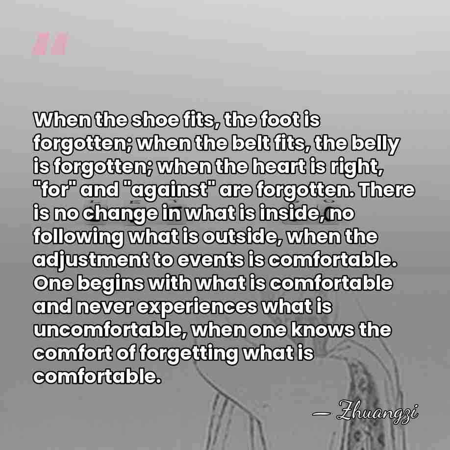 When the shoe fits, the foot is forgotten; when the belt fits,&hellip; - Zhuangzi