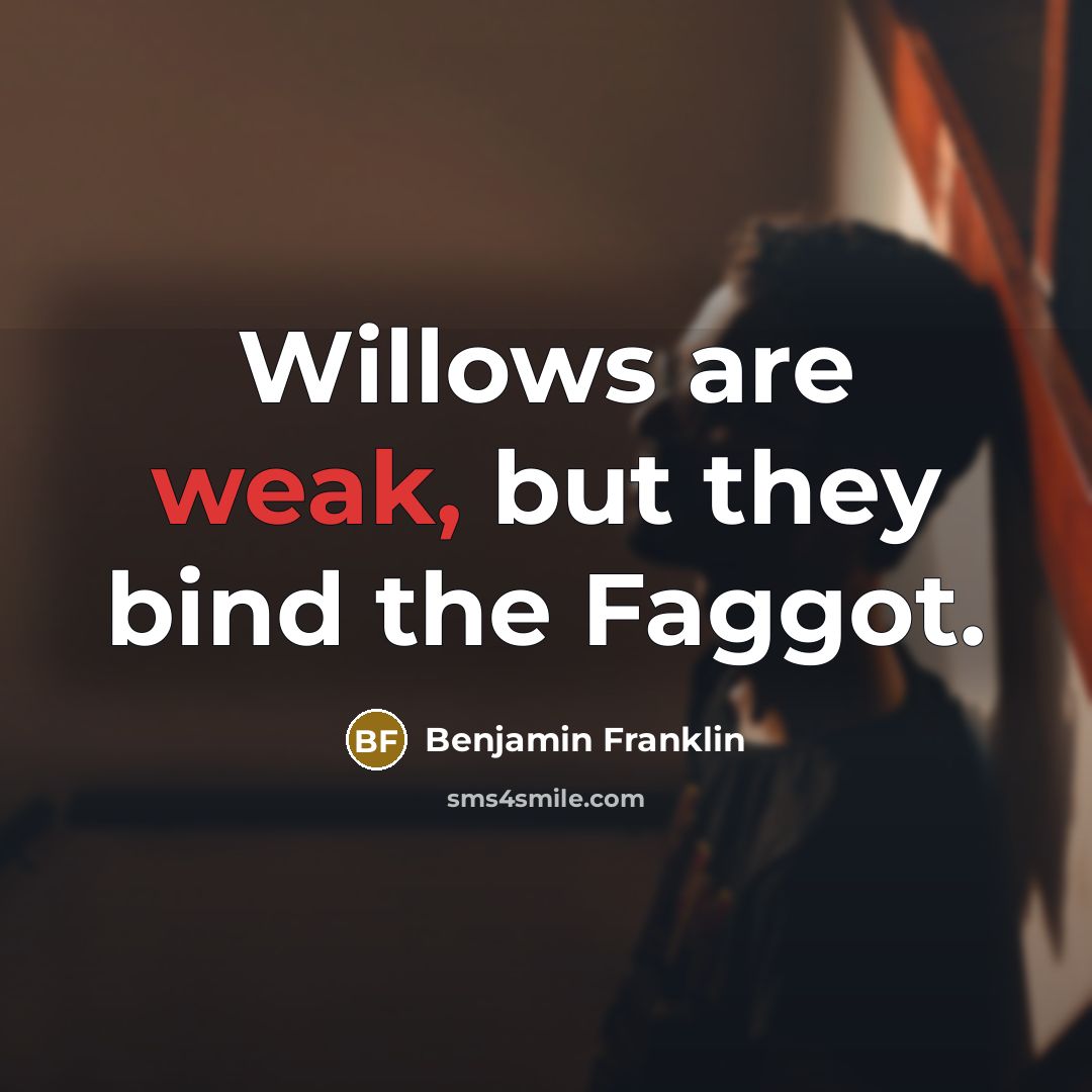 “Willows are weak, but they bind the Faggot.” quote by Benjamin Franklin