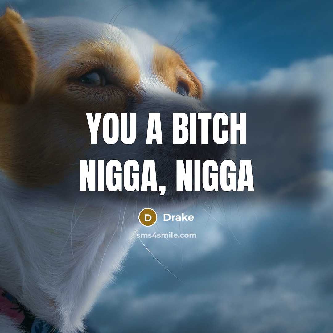“You a bitch nigga, nigga” quote by Drake