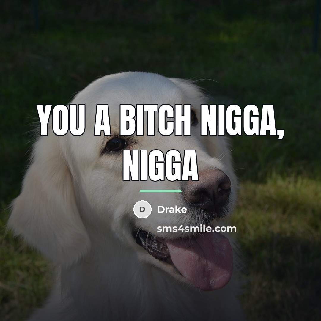“You a bitch nigga, nigga…” quote by Drake