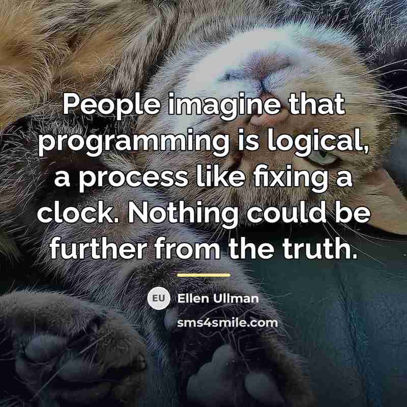 “People imagine that programming is logical, a process like fixing…” quote by Ellen Ullman