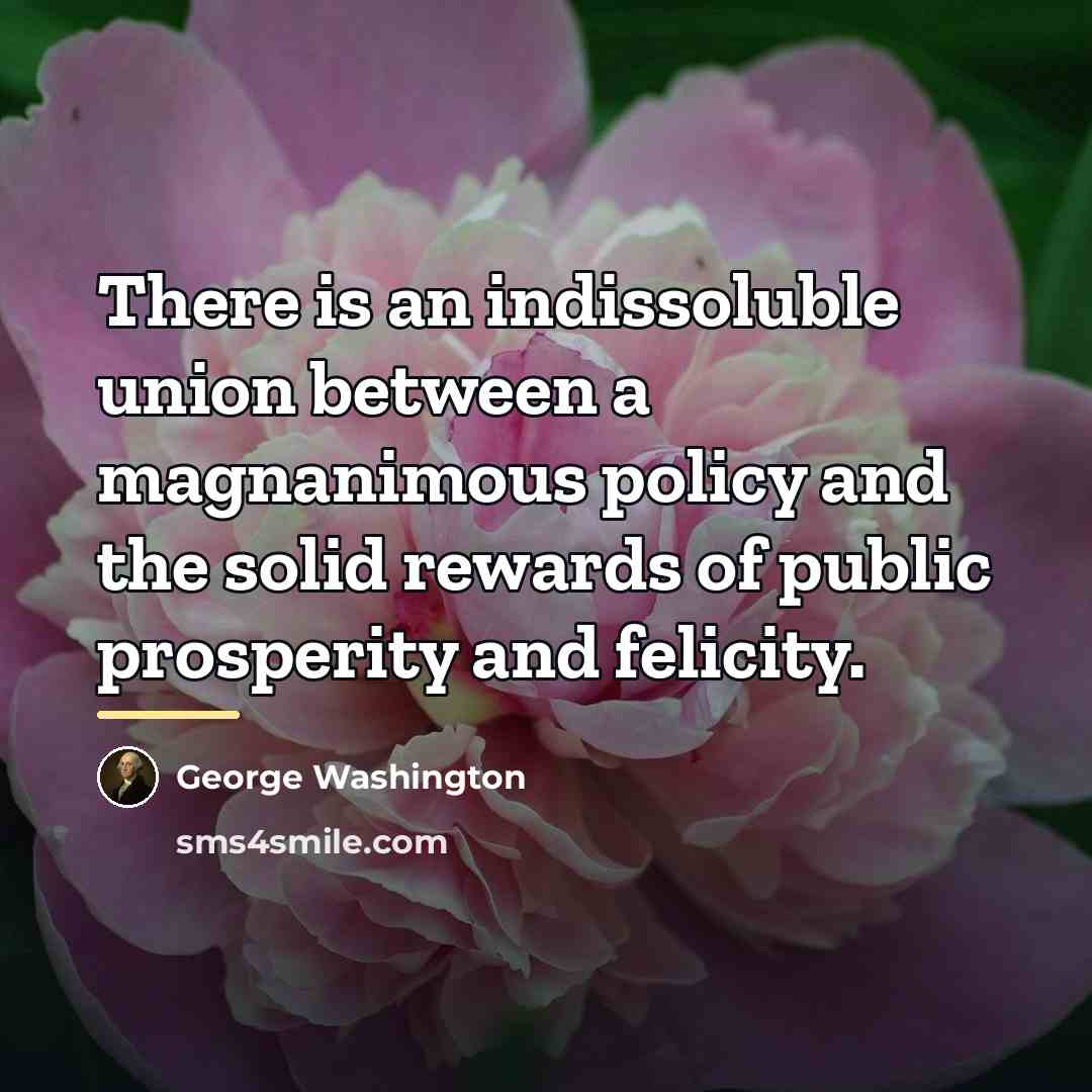 “There is an indissoluble union between a magnanimous policy and…” quote by George Washington