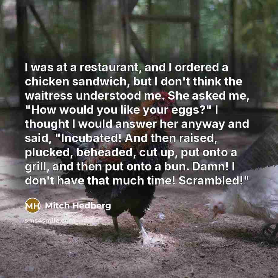 “I was at a restaurant, and I ordered a chicken…” quote by Mitch Hedberg