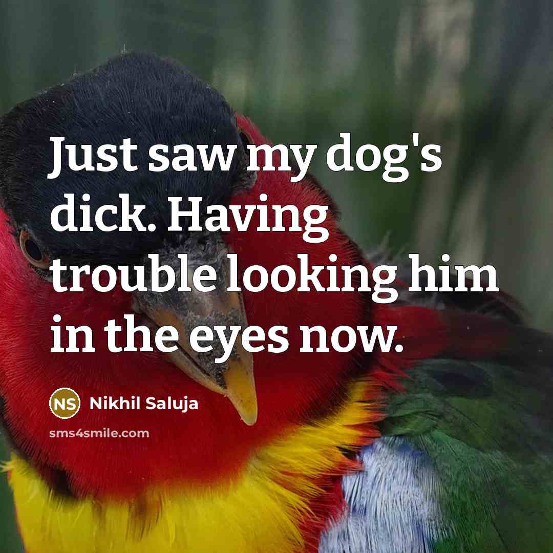 “Just saw my dog's dick. Having trouble looking him in…” quote by Nikhil Saluja