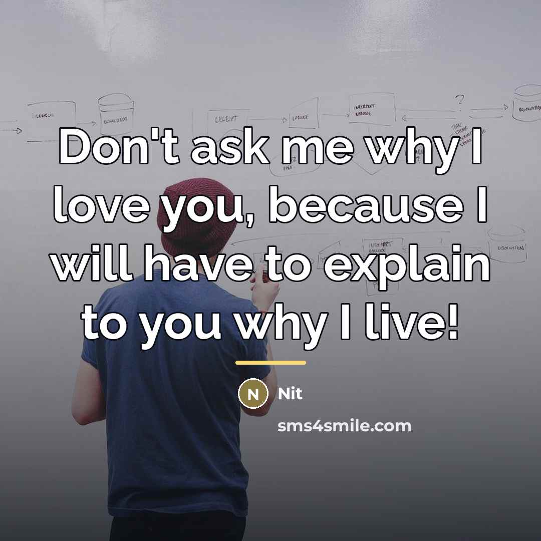 “Don't ask me why I love you, because I will…” quote by Nit