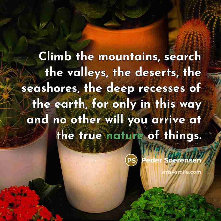 “Climb the mountains, search the valleys, the deserts, the seashores, the deep recesses of the earth, for only in this way and no other will you arrive at the true nature of things.” quote by Peder Soerensen