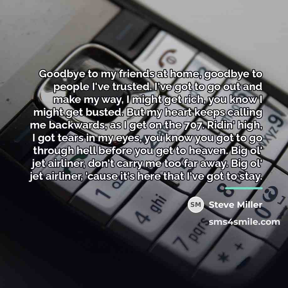 “Goodbye to my friends at home, goodbye to people I've…” quote by Steve Miller