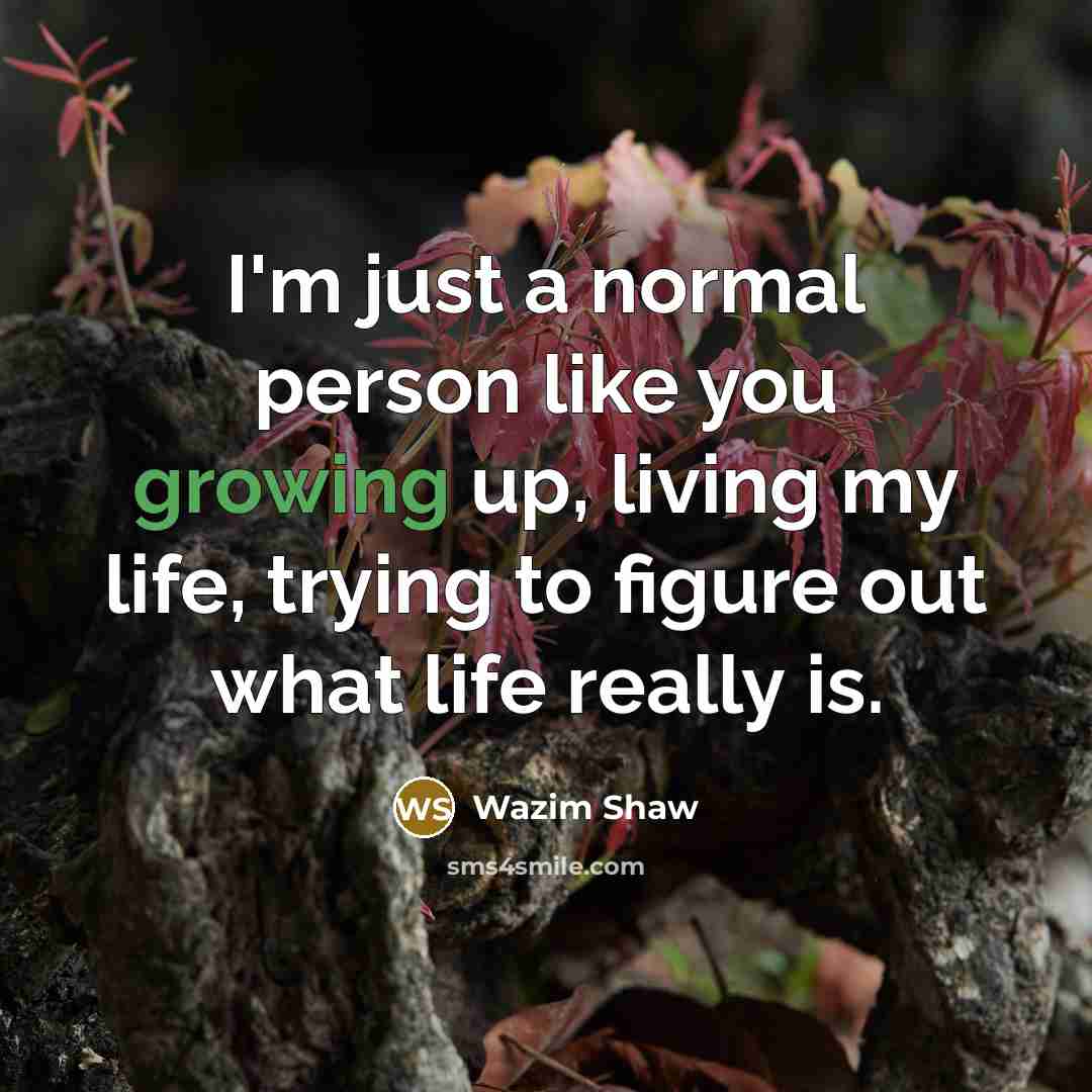 “I'm just a normal person like you growing up, living…” quote by Wazim Shaw