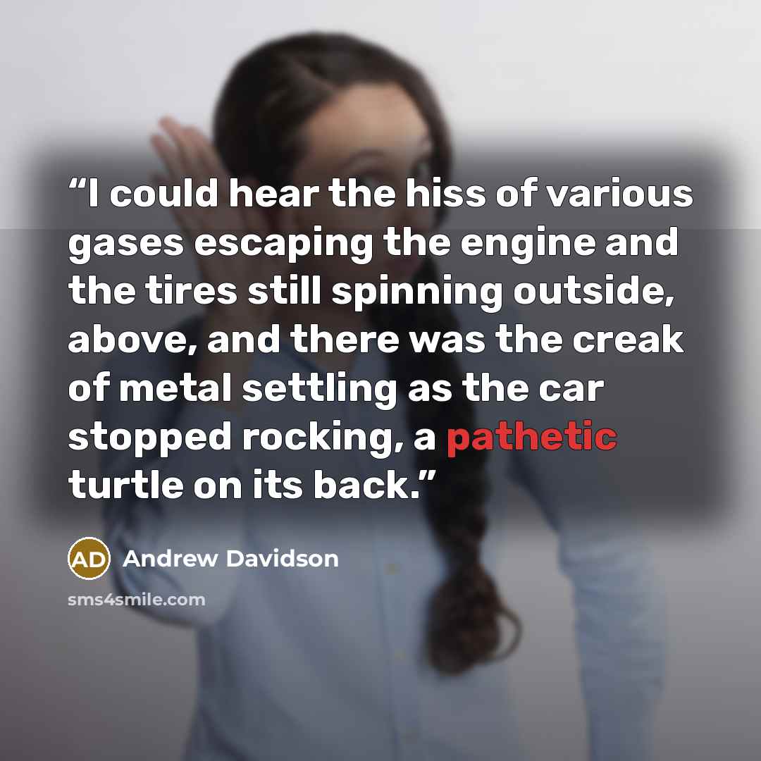 “I could hear the hiss of various gases escaping the engine and the tires still spinning outside, above, and there was the creak of metal settling as the car stopped rocking, a pathetic turtle on its back.” quote by Andrew Davidson