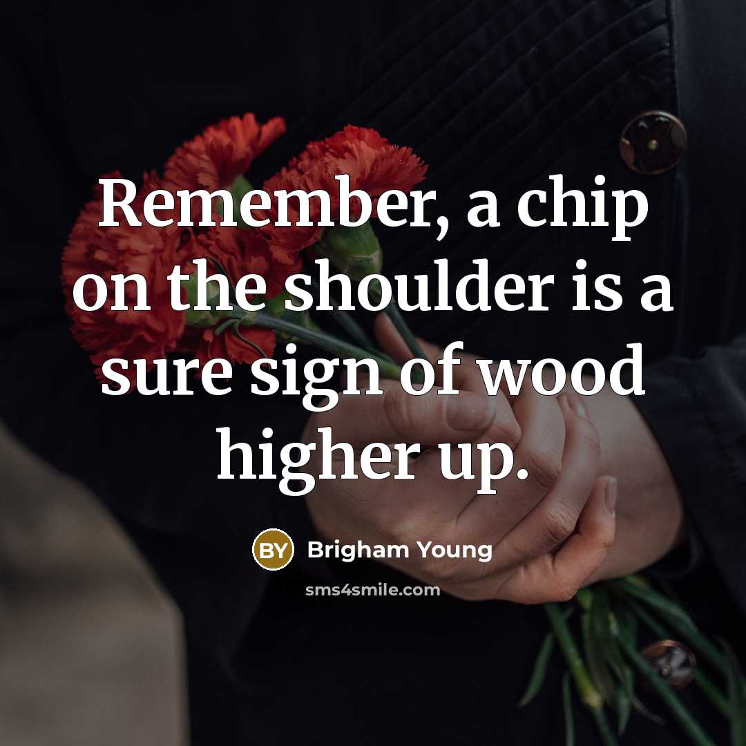 “Remember, a chip on the shoulder is a sure sign of wood higher up.” quote by Brigham Young