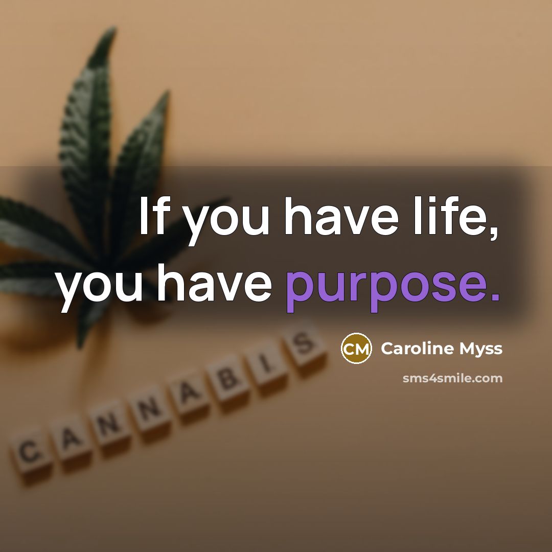 “If you have life, you have purpose.…” quote by Caroline Myss