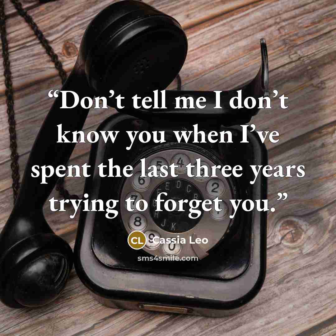 “Don’t tell me I don’t know you when I’ve spent the last three years trying to forget you.” quote by Cassia Leo