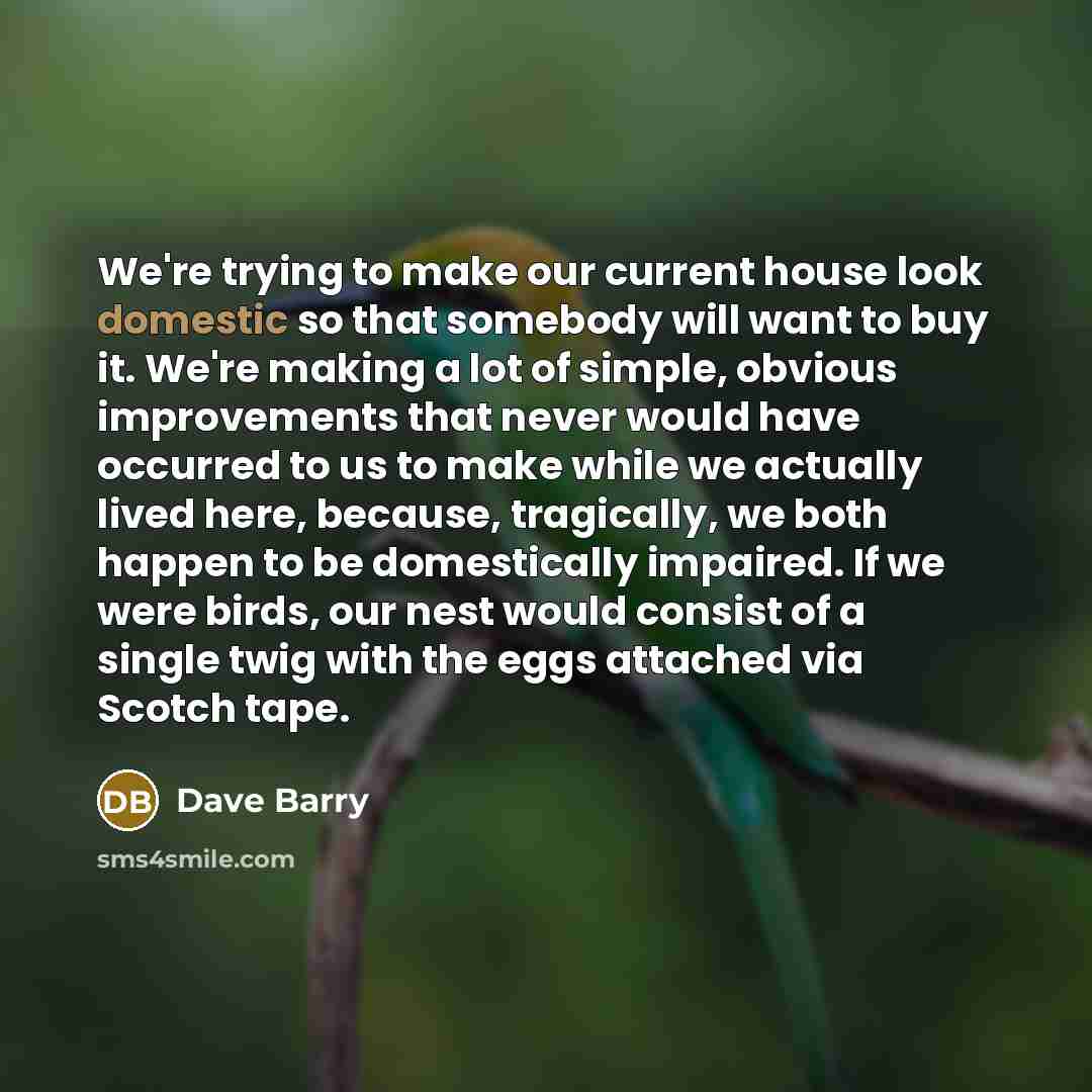 “We're trying to make our current house look domestic so…” quote by Dave Barry