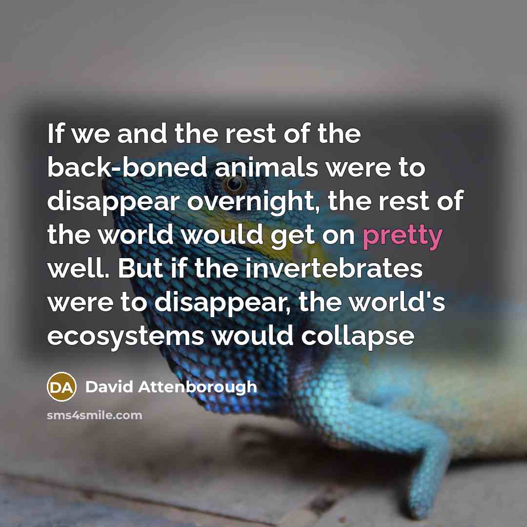 “If we and the rest of the back-boned animals were…” quote by David Attenborough