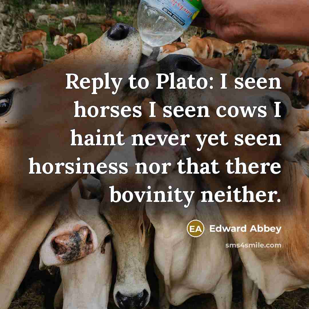 “Reply to Plato: I seen horses I seen cows I…” quote by Edward Abbey