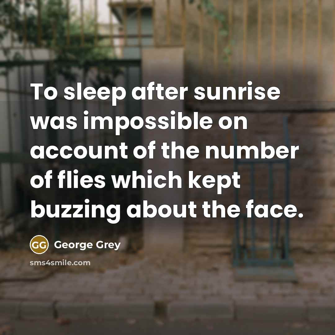 “To sleep after sunrise was impossible on account of the…” quote by George Grey
