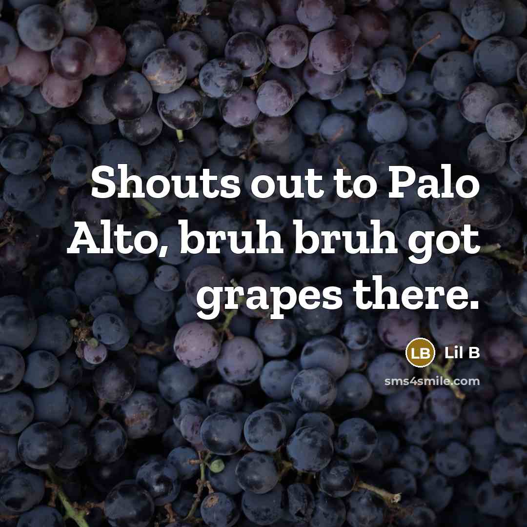 “Shouts out to Palo Alto, bruh bruh got grapes there.” quote by Lil B