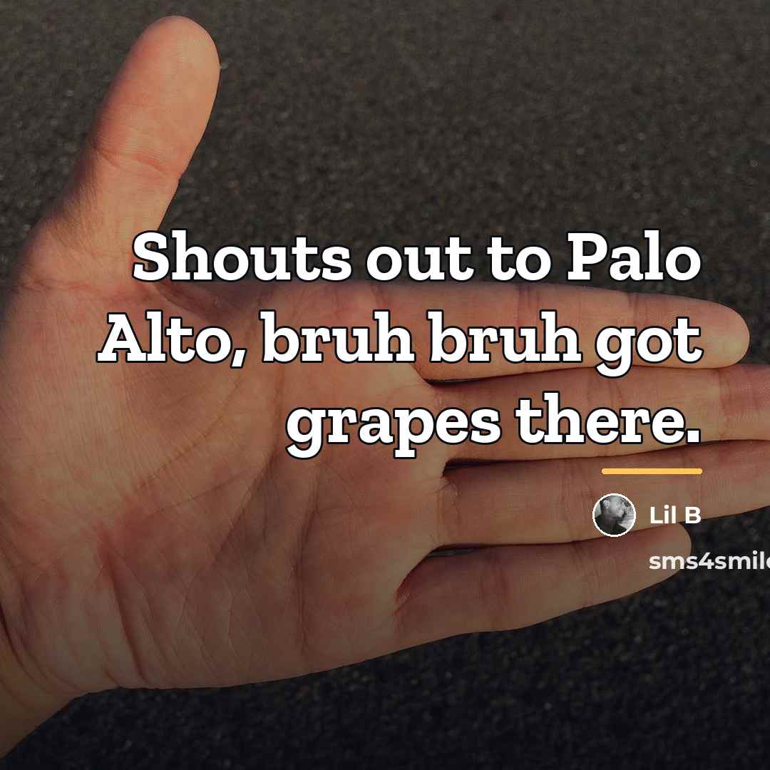 “Shouts out to Palo Alto, bruh bruh got grapes there.…” quote by Lil B