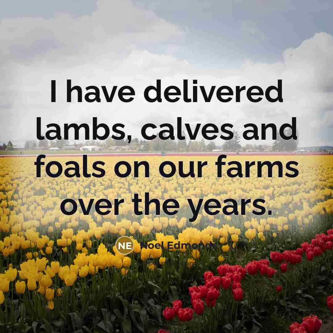 “I have delivered lambs, calves and foals on our farms…” quote by Noel Edmonds