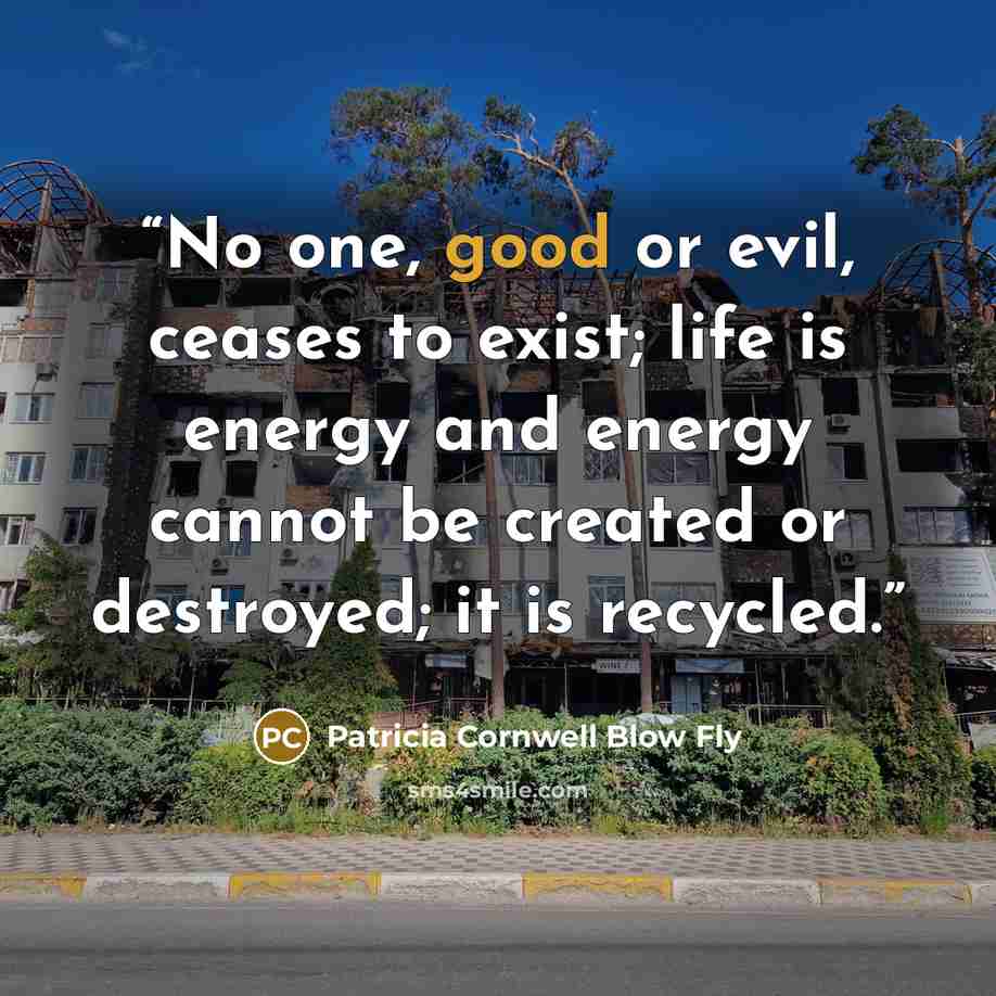 “No one, good or evil, ceases to exist; life is energy and energy cannot be created or destroyed; it is recycled.” quote by Patricia Cornwell Blow Fly