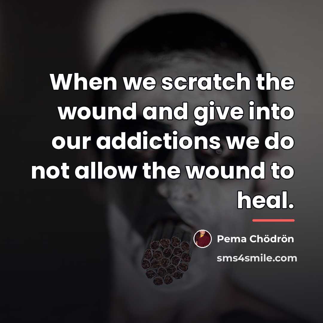 “When we scratch the wound and give into our addictions…” quote by Pema Chodron