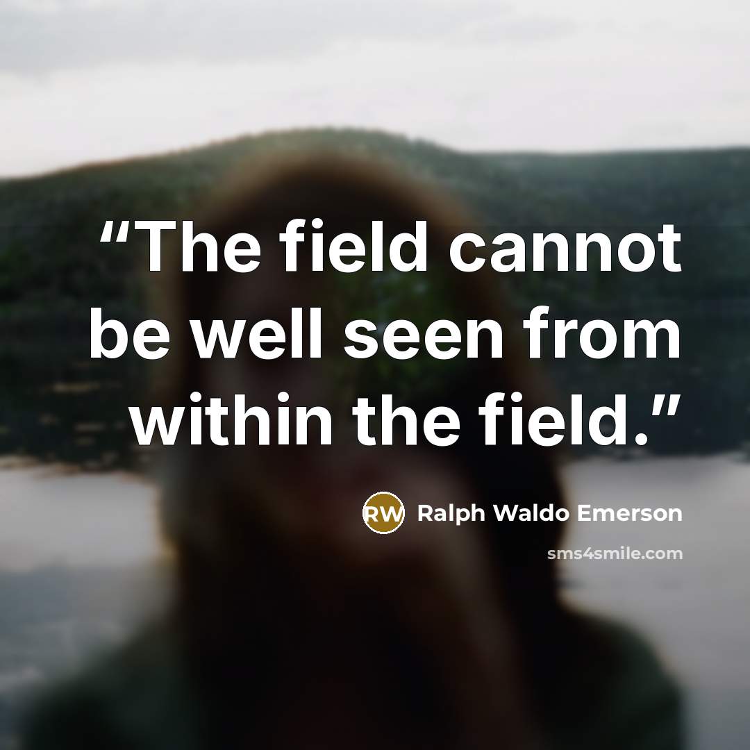 “The field cannot be well seen from within the field.” quote by Ralph Waldo Emerson