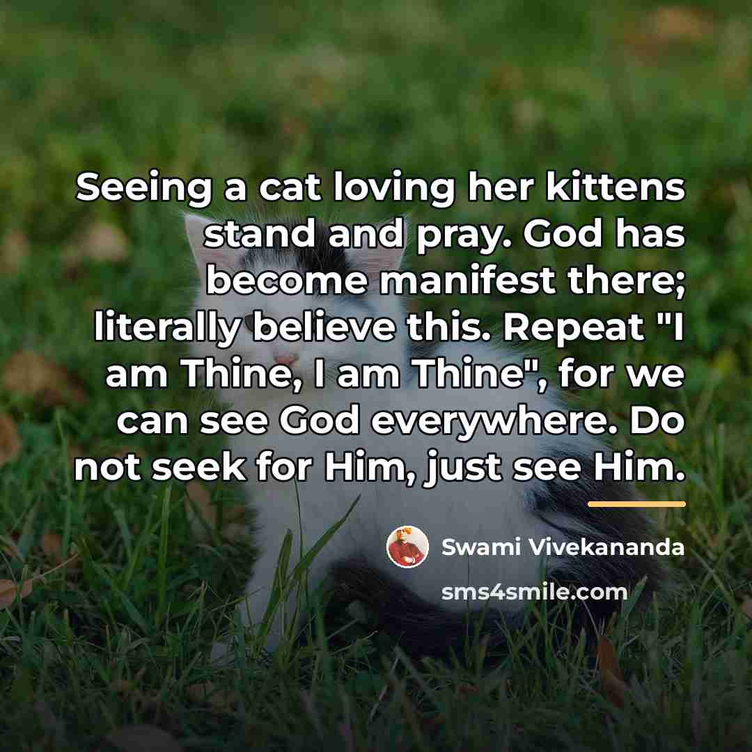 “Seeing a cat loving her kittens stand and pray. God…” quote by Swami Vivekananda
