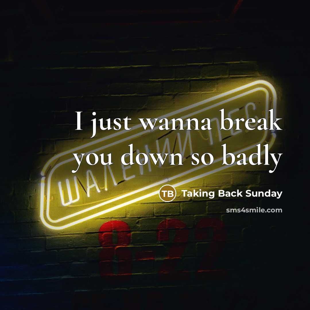 “I just wanna break you down so badly…” quote by Taking Back Sunday