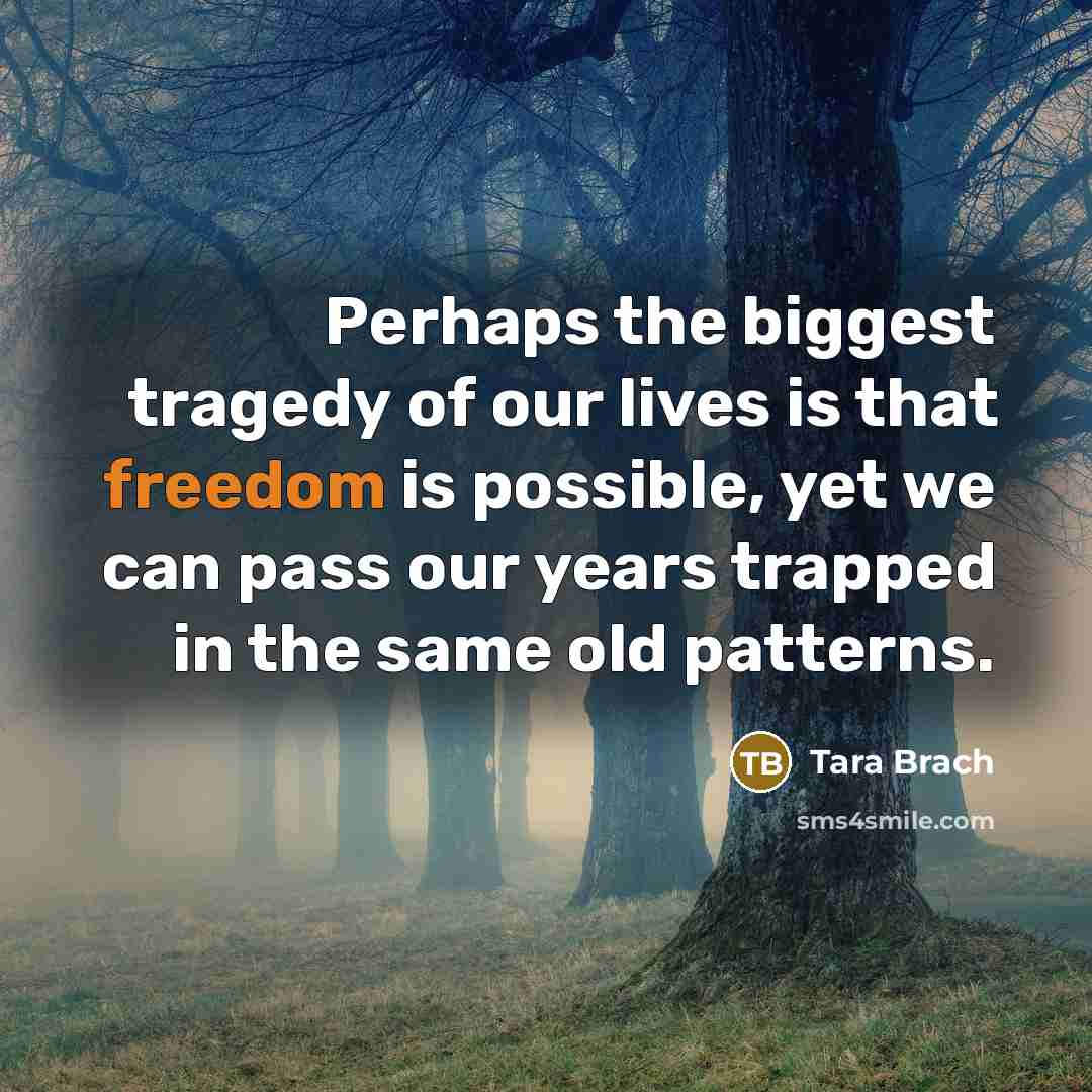 “Perhaps the biggest tragedy of our lives is that freedom…” quote by Tara Brach