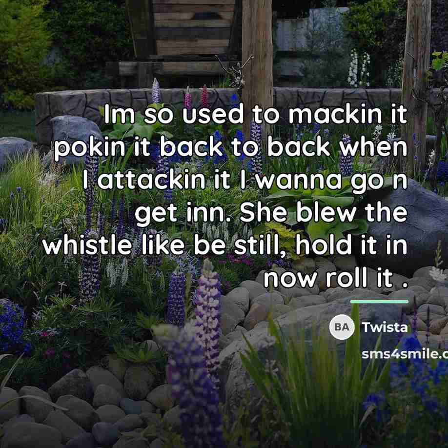 “Im so used to mackin it pokin it back to…” quote by Twista