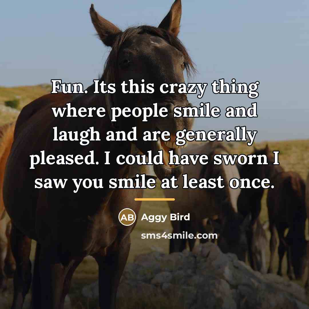 “Fun. Its this crazy thing where people smile and laugh…” quote by Aggy Bird