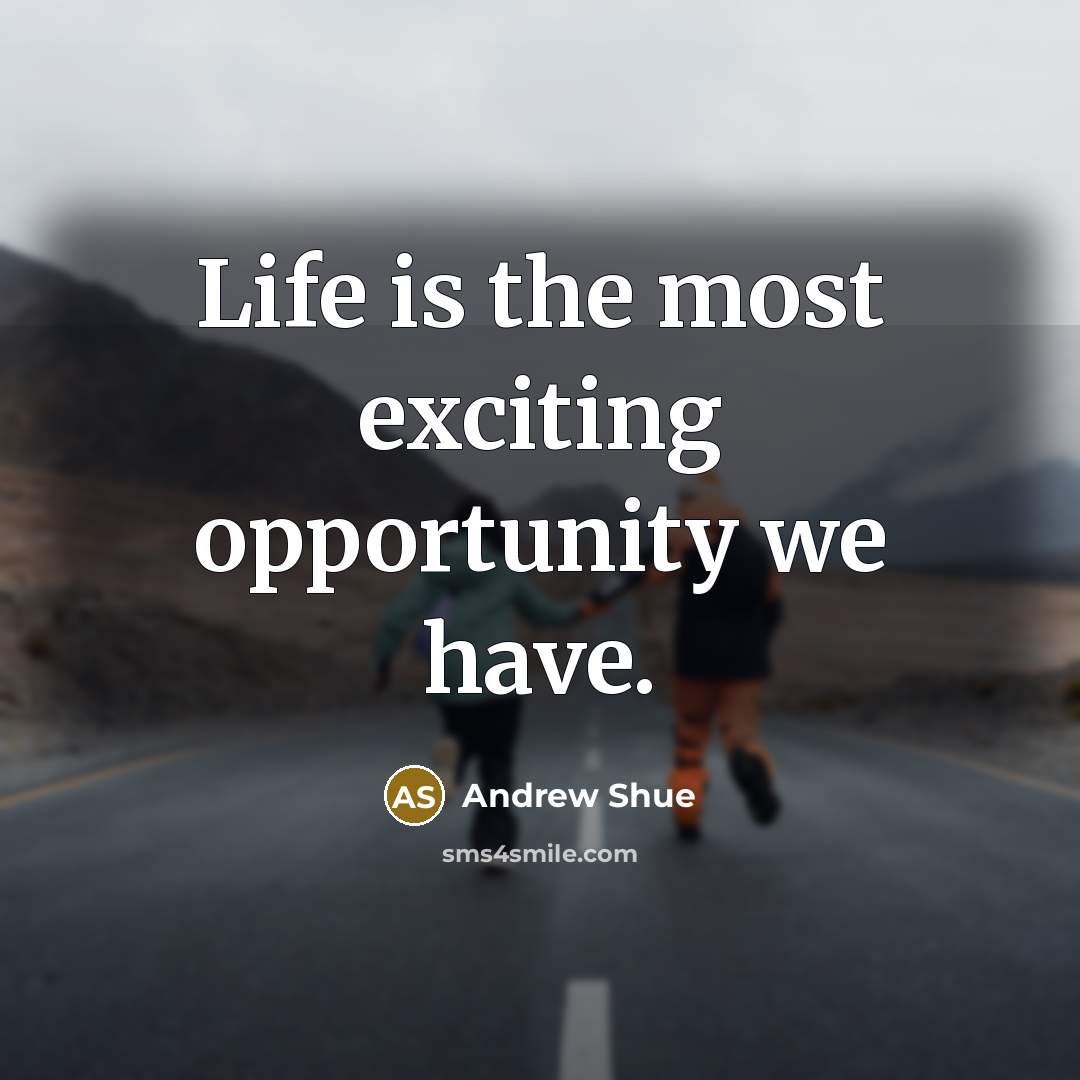 “Life is the most exciting opportunity we have.…” quote by Andrew Shue