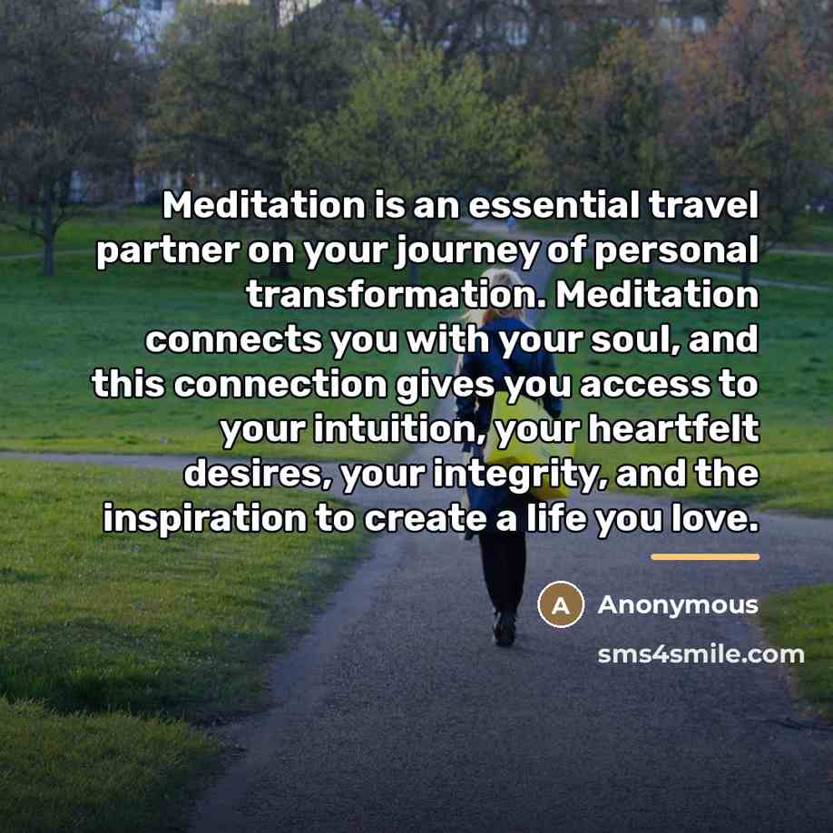 “Meditation is an essential travel partner on your journey of…” quote by Anonymous