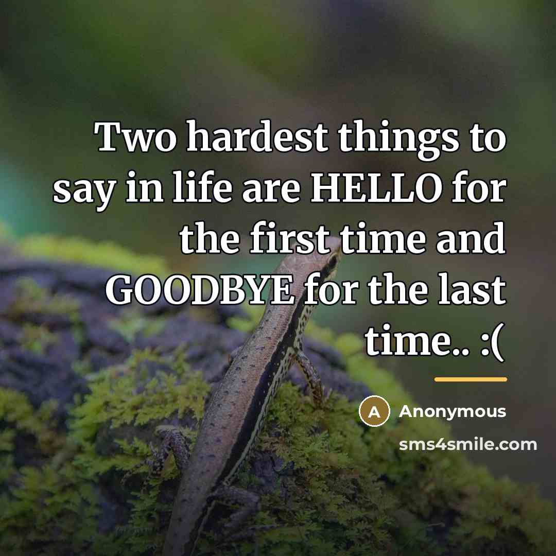 “Two hardest things to say in life are HELLO for…” quote by Anonymous
