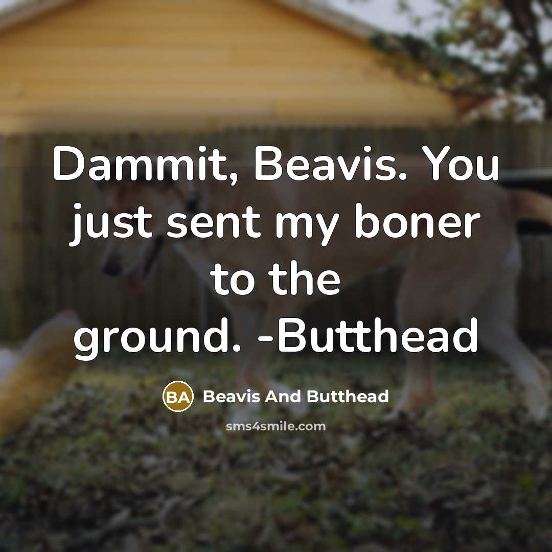 “Dammit, Beavis. You just sent my boner to the ground. -Butthead” quote by Beavis And Butthead