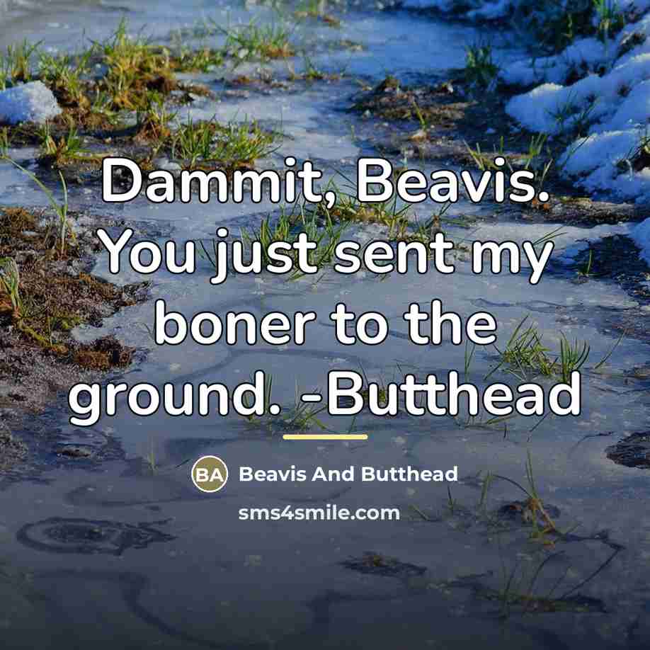 “Dammit, Beavis. You just sent my boner to the ground.…” quote by Beavis And Butthead